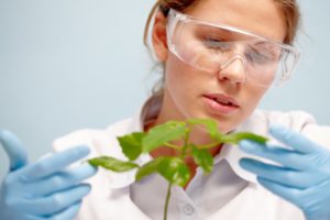 Диплом биолога